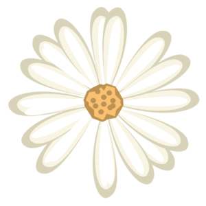 flower, icon, symbol-3197491.jpg